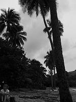Martinique2003 021 